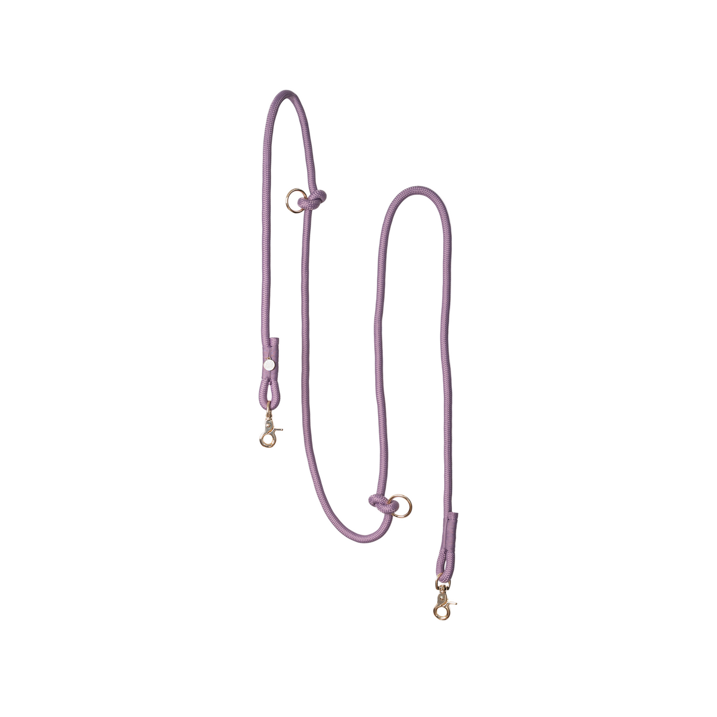 Purple dog leash with gold hardware on a light purple background