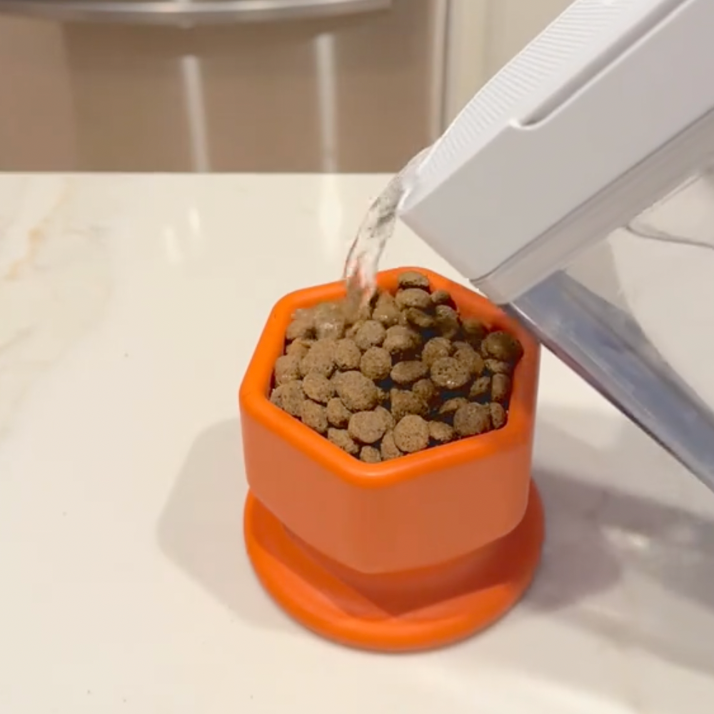 Orange pet bowl with dry cat food being filled from a white container.