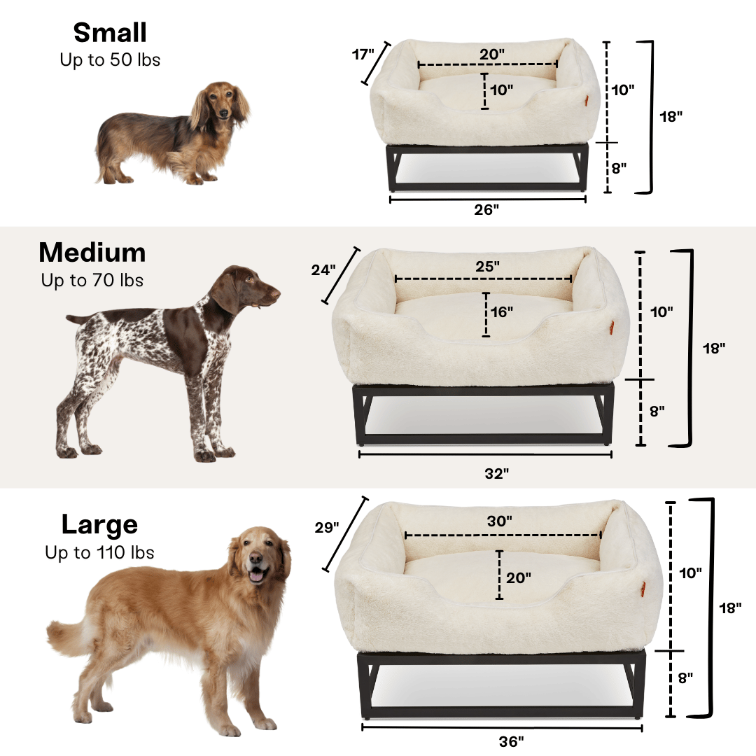 Dog bed size chart with small, medium, and large dimensions and corresponding dog weights.
