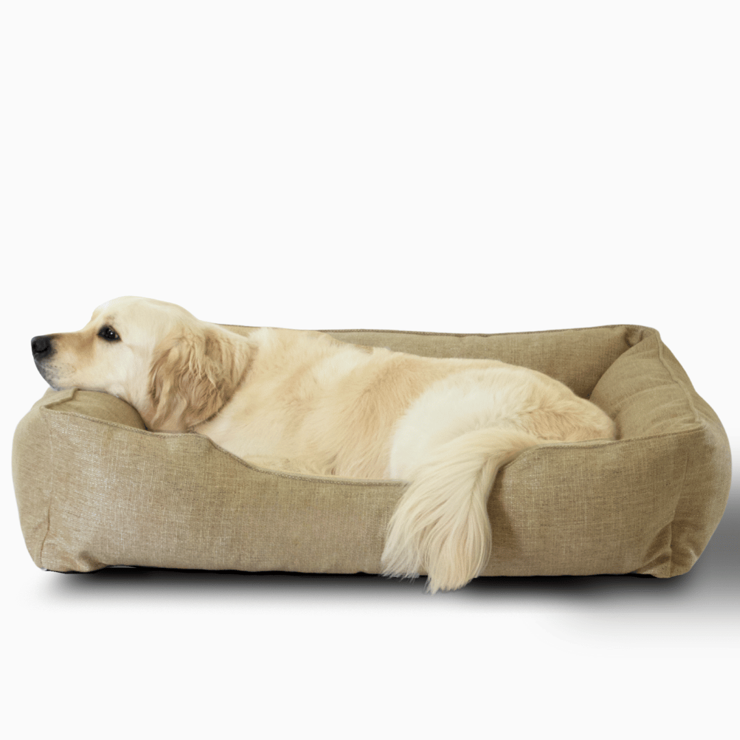 The Sammy Dog Bed in beige with light tan dog on white background