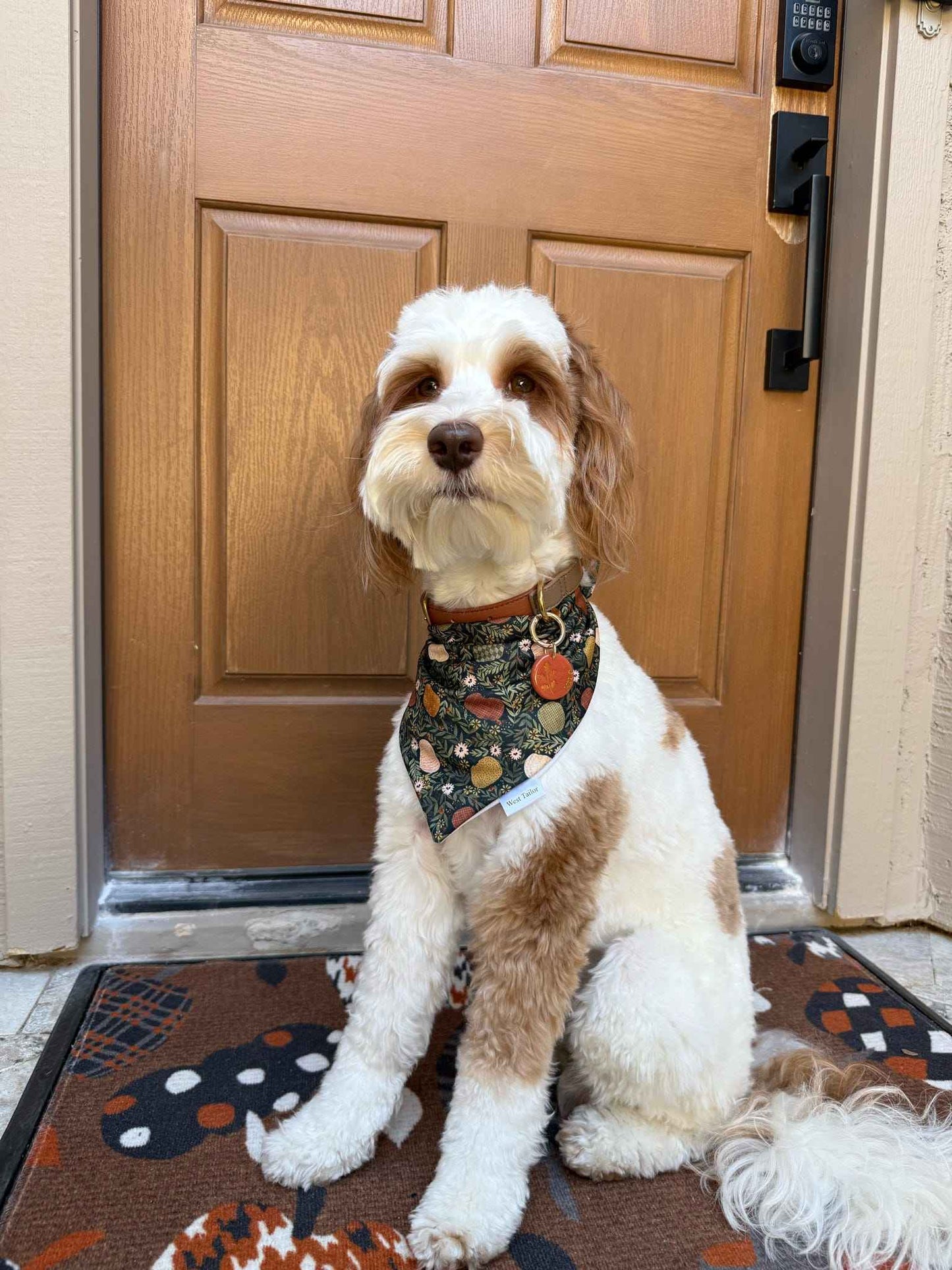 Dog sitting on a doormat in front of a wooden door