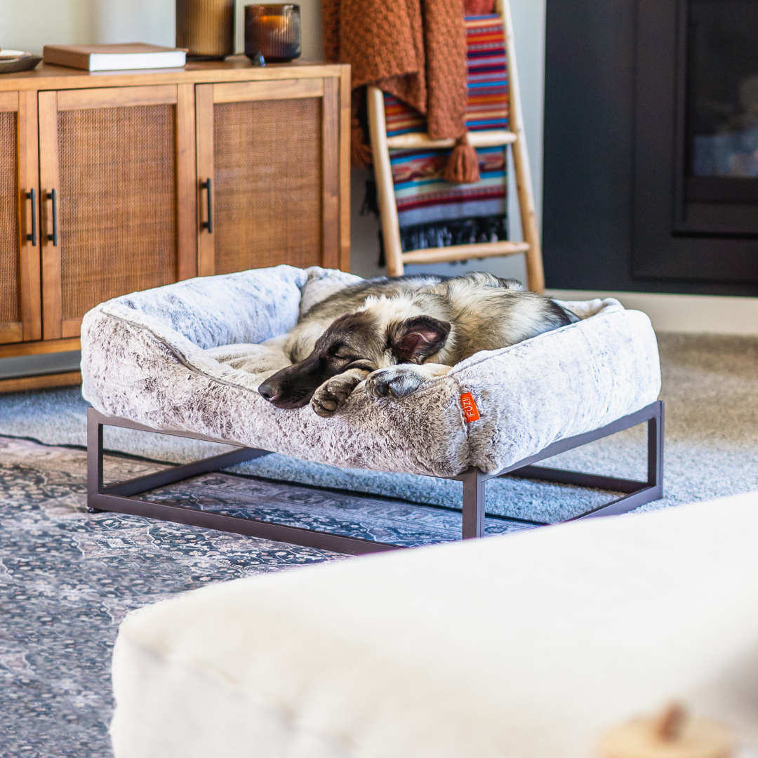 The FÜZI Dog Bed in gray on top of frame with dog in living room