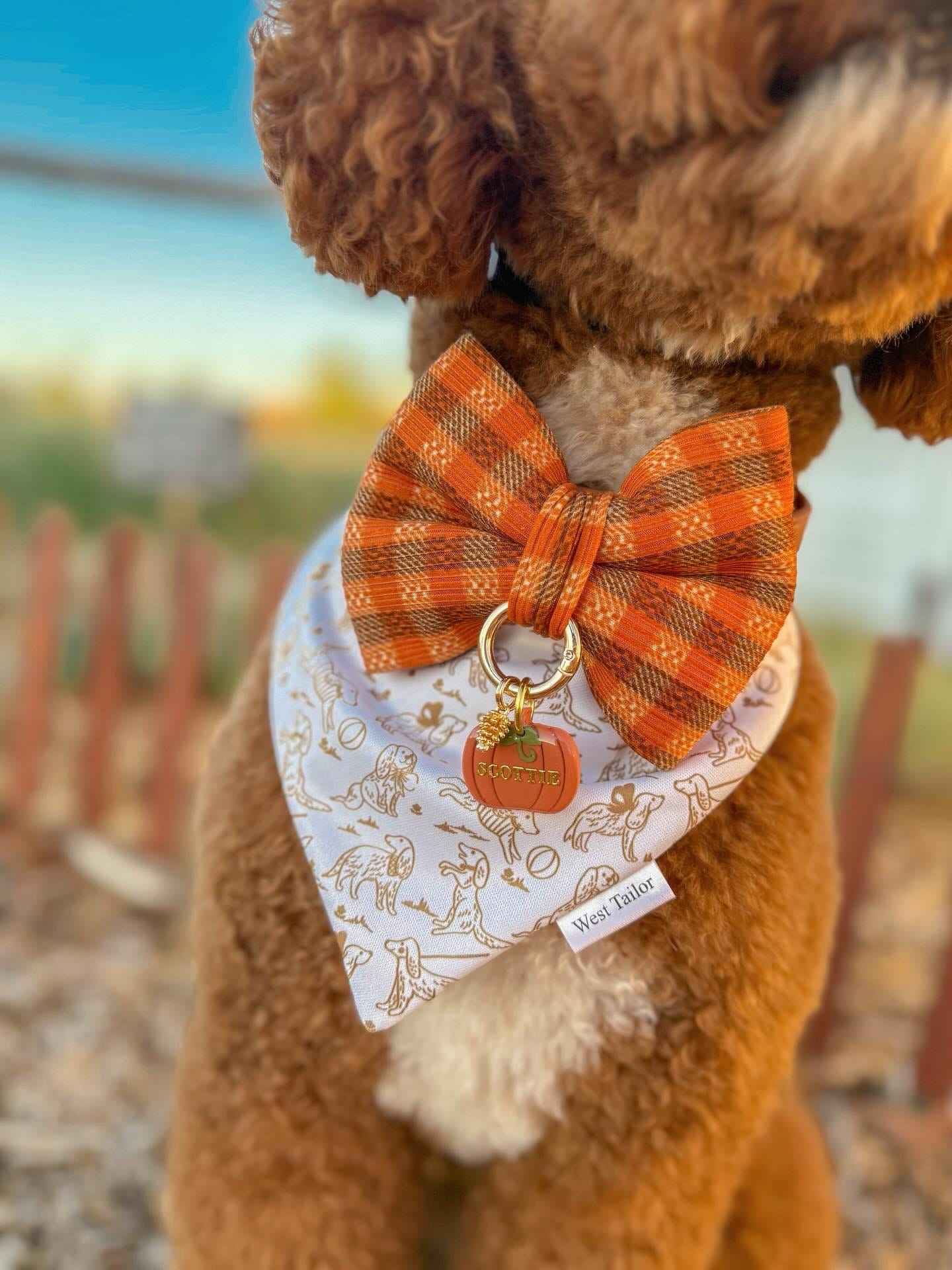 Brown dog wearing an orange plaid bow tie and a patterned bandana with a pumpkin design.