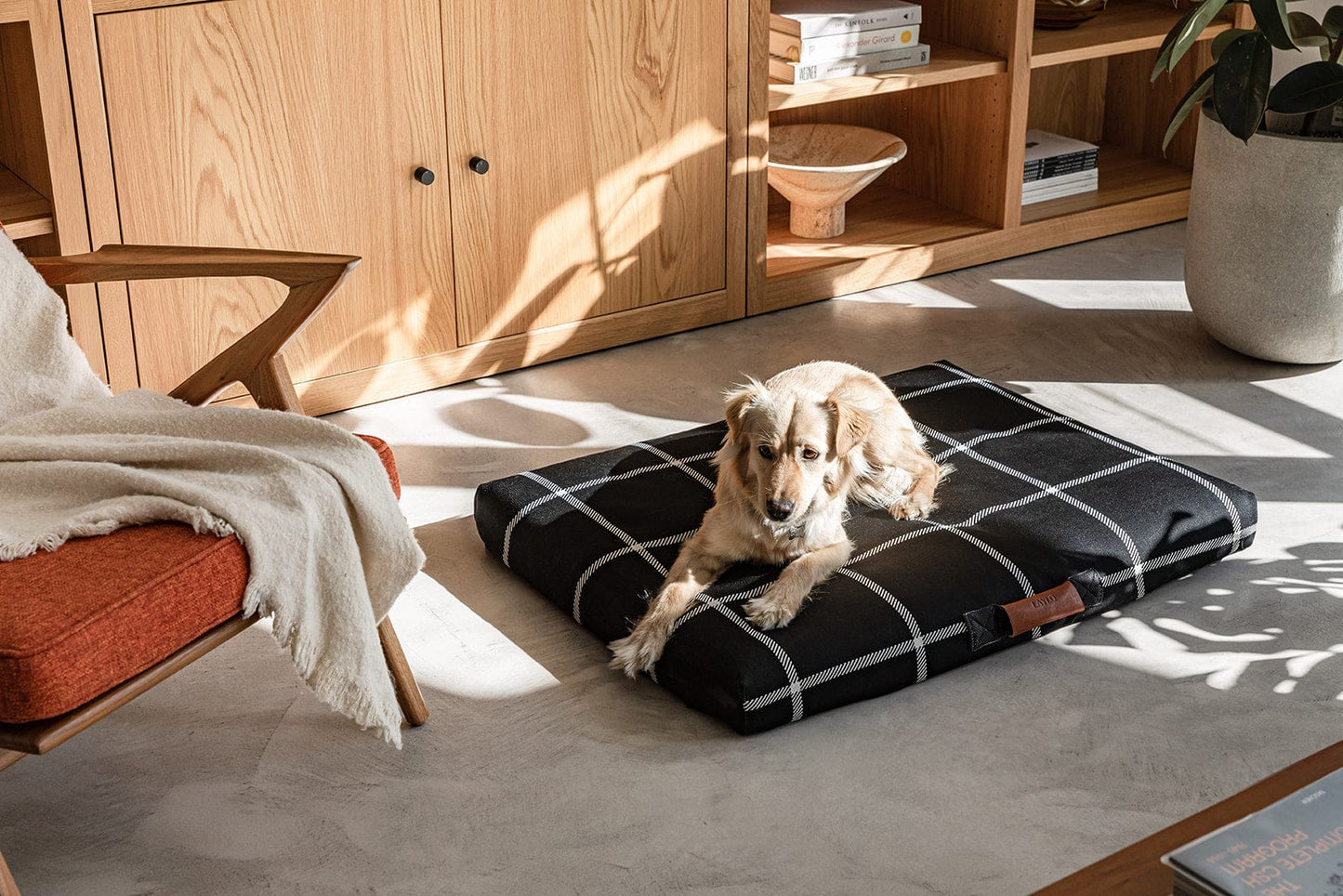 Black Plaid Orthopedic Dog Bed Dog