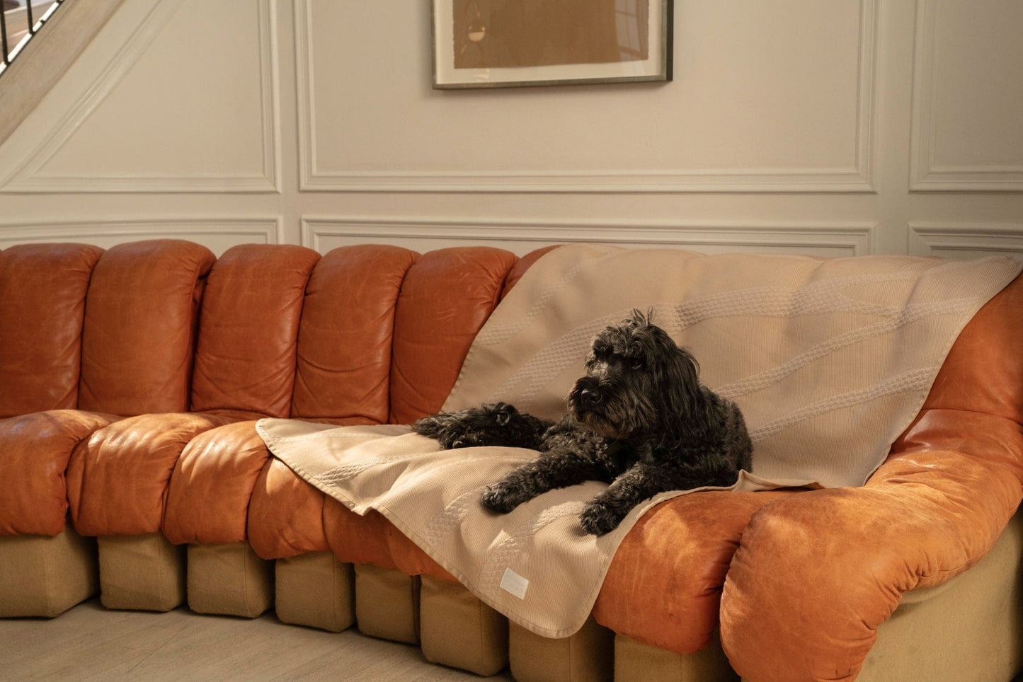 Brigette Romanek Luxury Pet Throw Blanket in Taupe Dog on Couch