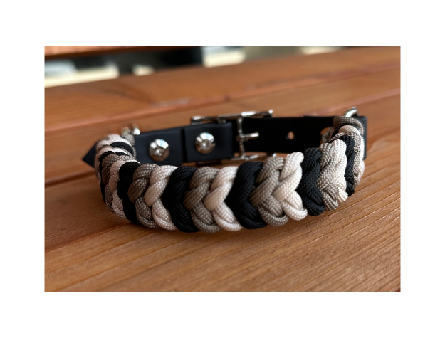 Dog collarwith braided design on a wooden surface