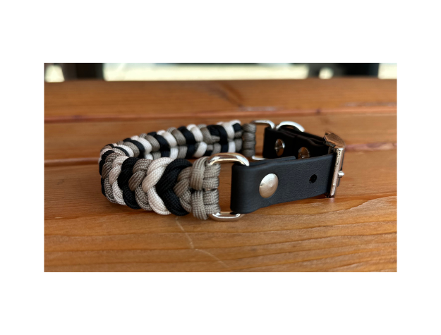 Dog collar with braided design on a wooden surface