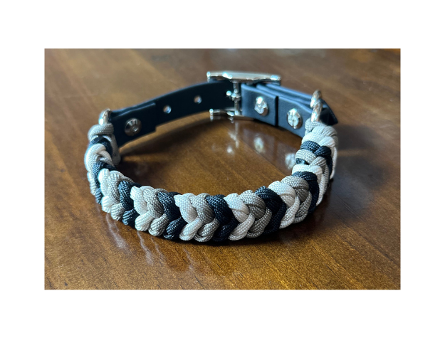 Dog collar with braided design on a wooden surface