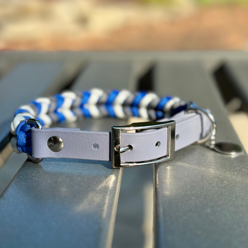 Dog Collar woven in royal blue, graphite gray, and white, with a gray adjustable strap with a belt style nickel plated buckle