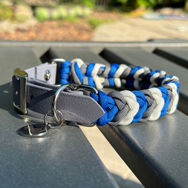 Dog Collar woven in royal blue, graphite gray, and white, with a gray adjustable strap with a belt style nickel plated buckle