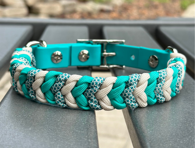Teal and white braided dog collar on a metal surface with a blurred natural background