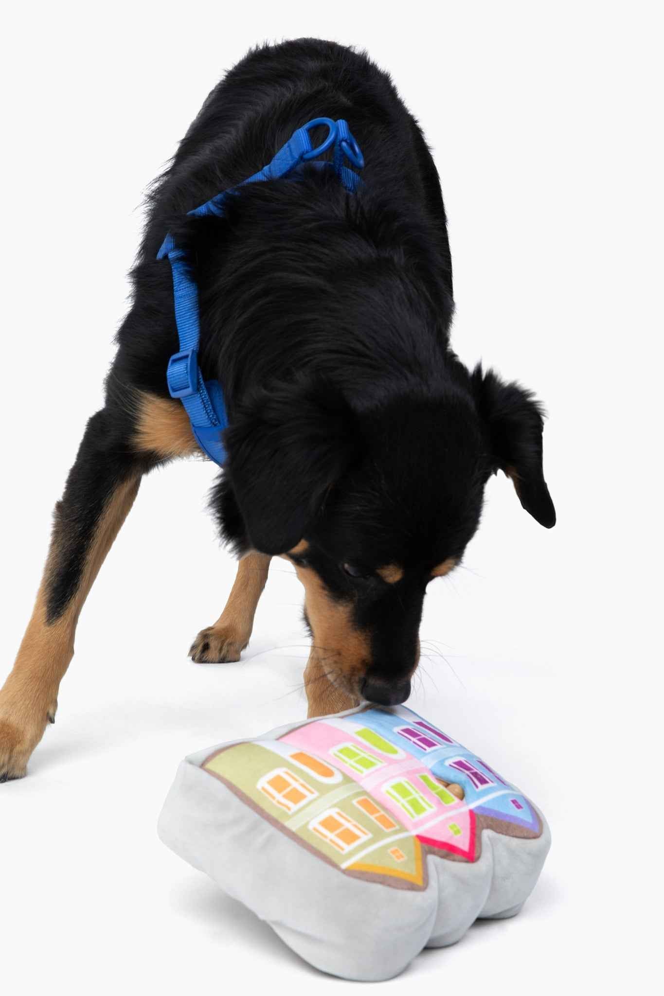 Painted Ladies Nose Work Dog Toy with black and brown dog playing with toy on white background