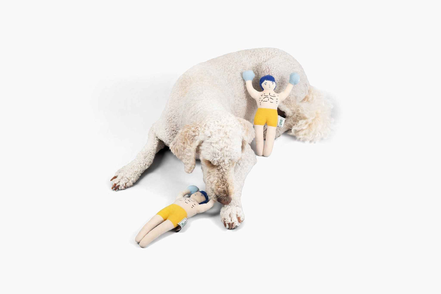 Champ Rocky Nose Work Dog Toys with white dog playing on white background