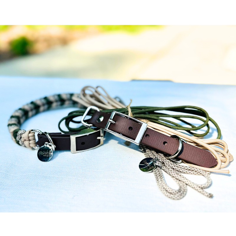 Collection of dog collars and leashes on a light blue surface with a blurred natural background.