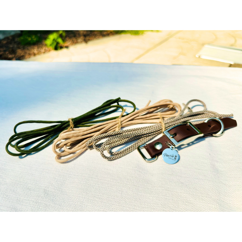 Dog collar with chain and leather strap on a light blue surface