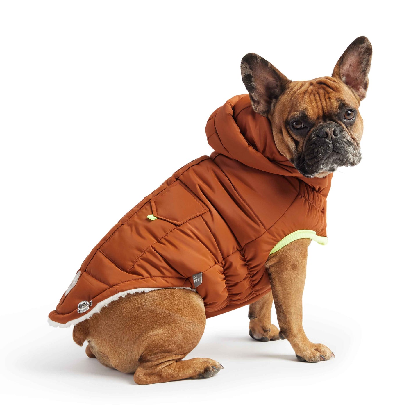 The Puff Parka - Hazel on small brown dog