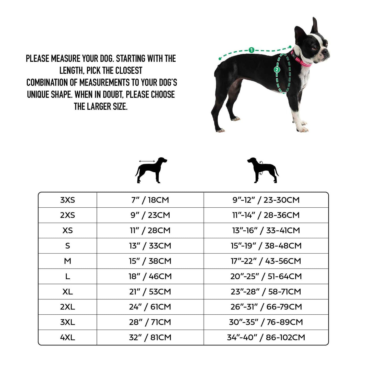 Dog size chart with measurements and a dog model wearing a green harness.