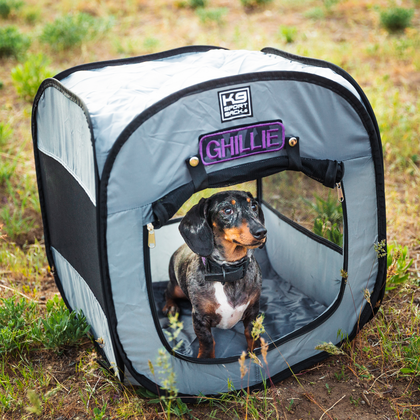 Dog inside a portable pet pen with 'K9 Sports' branding in a grassy outdoor setting.