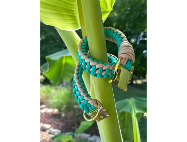 Teal and beige braided dog collar with gold clasp on a green plant