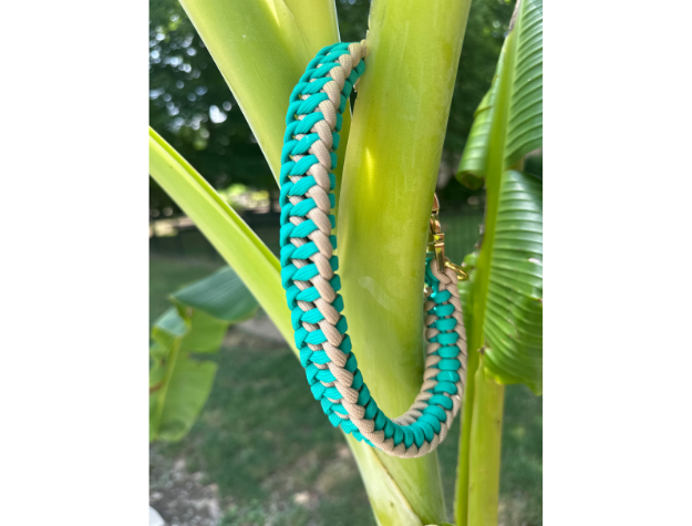 Turquoise and beige braided dog collar hanging on a banana leaf with a blurred green background