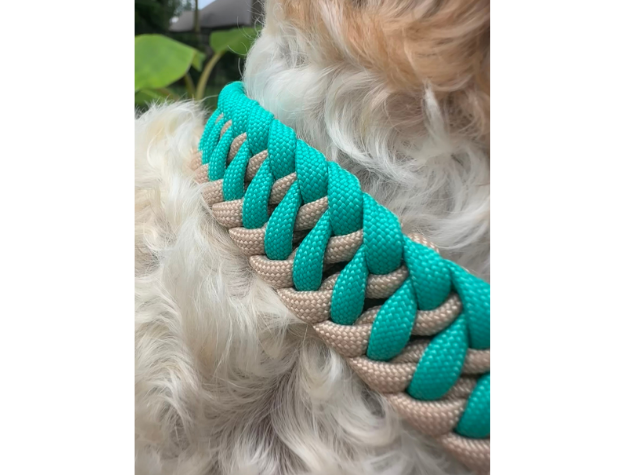Teal and beige braided dog collar on dog with a blurred background