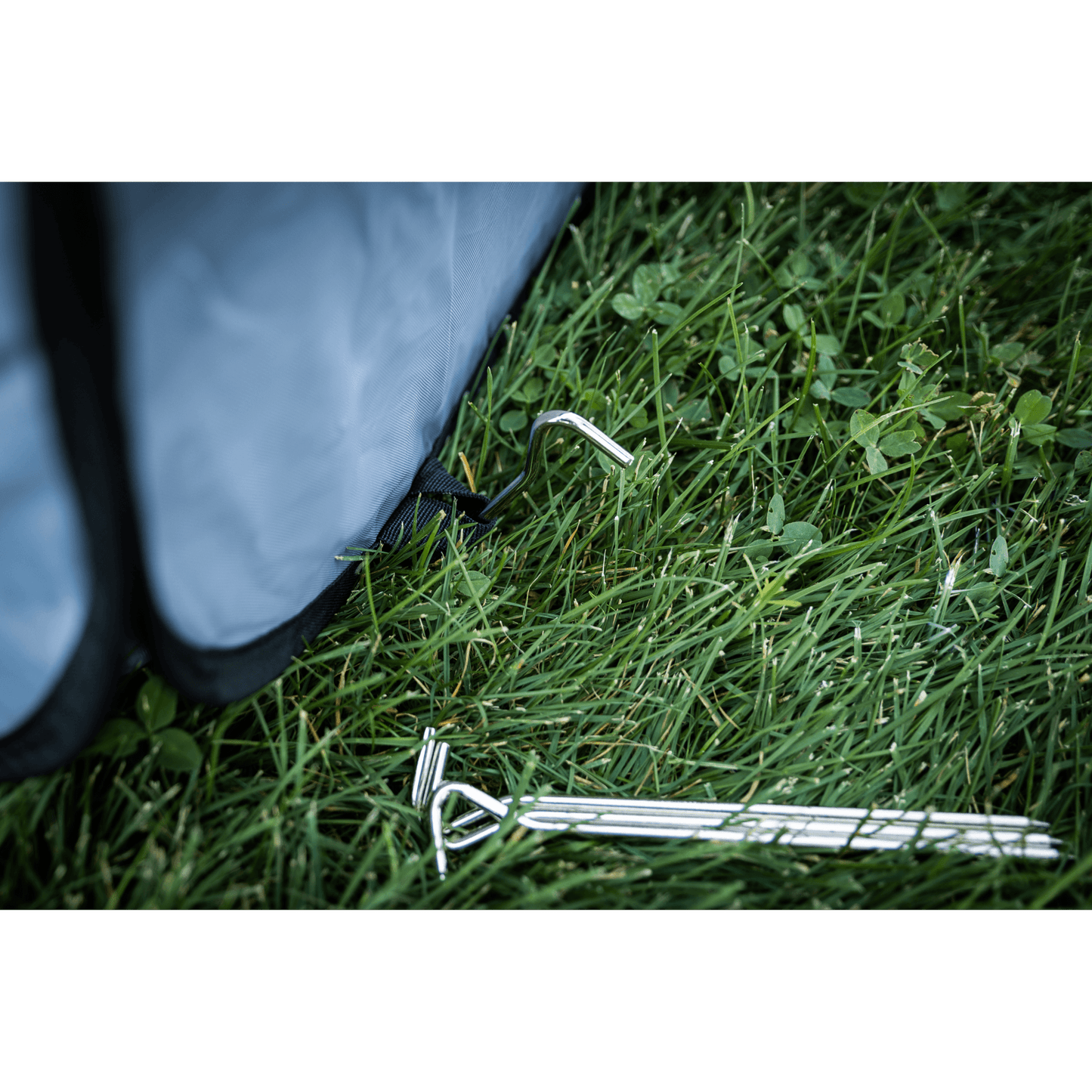 Metal tent stakes on grass with a blue tent partially visible