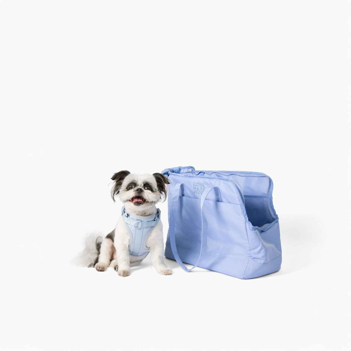 Come Here Buddy Pet Tote Bag in light blue with small dog sitting next to it