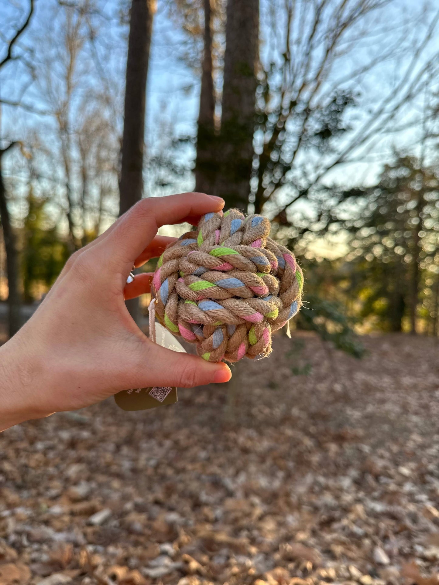 Hand holding a colorful braided rope toy against a natural background with trees and fallen leaves.