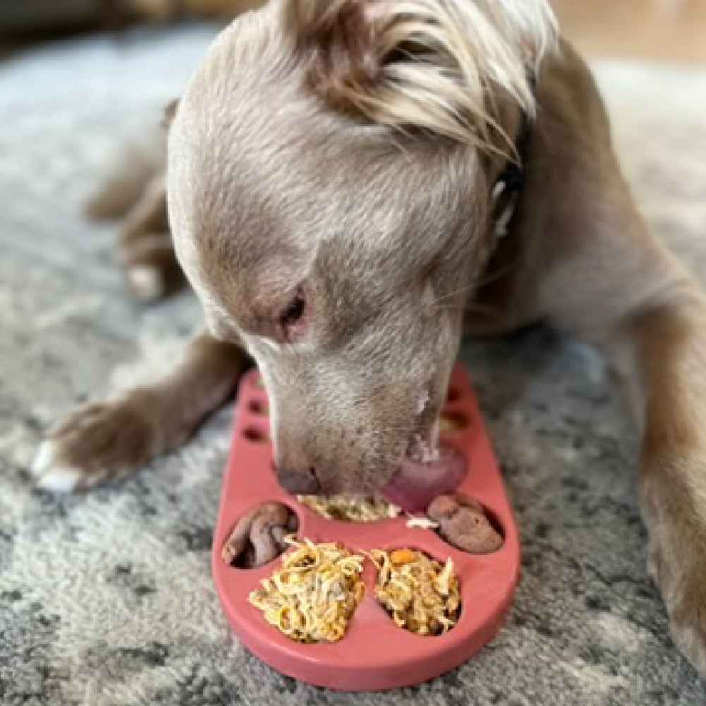 FreezPaw Mat - Calming Slow Feeder