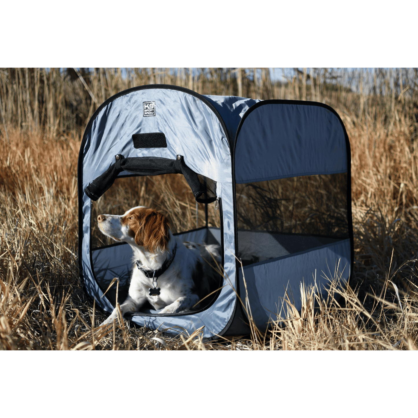 Dog inside a portable dog tent in a grassy field