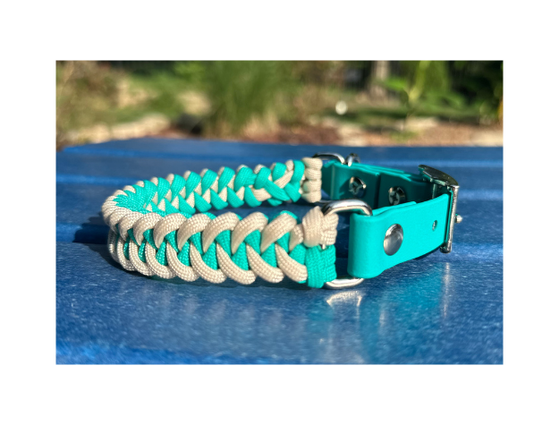 Paracord dog collar with teal and white design on a blue surface
