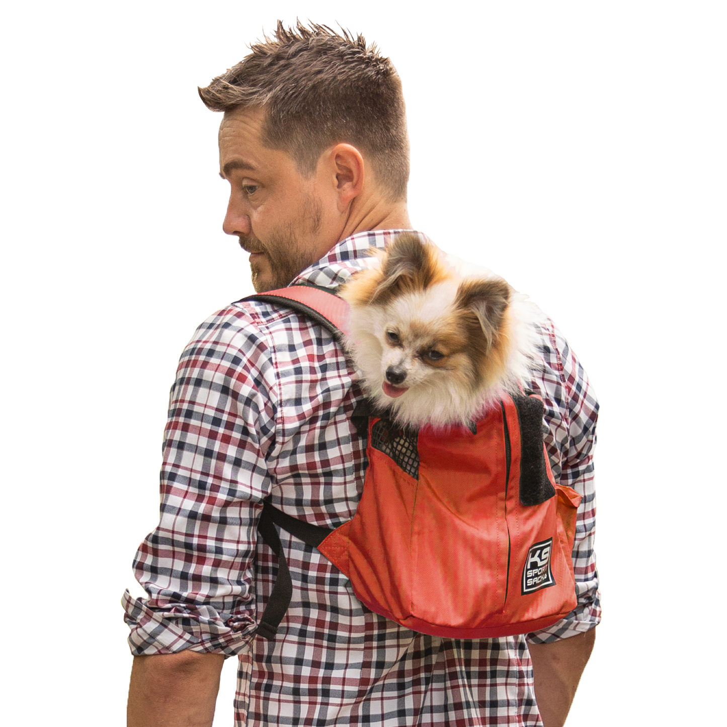 Man wearing a red backpack with a small dog inside on a white background