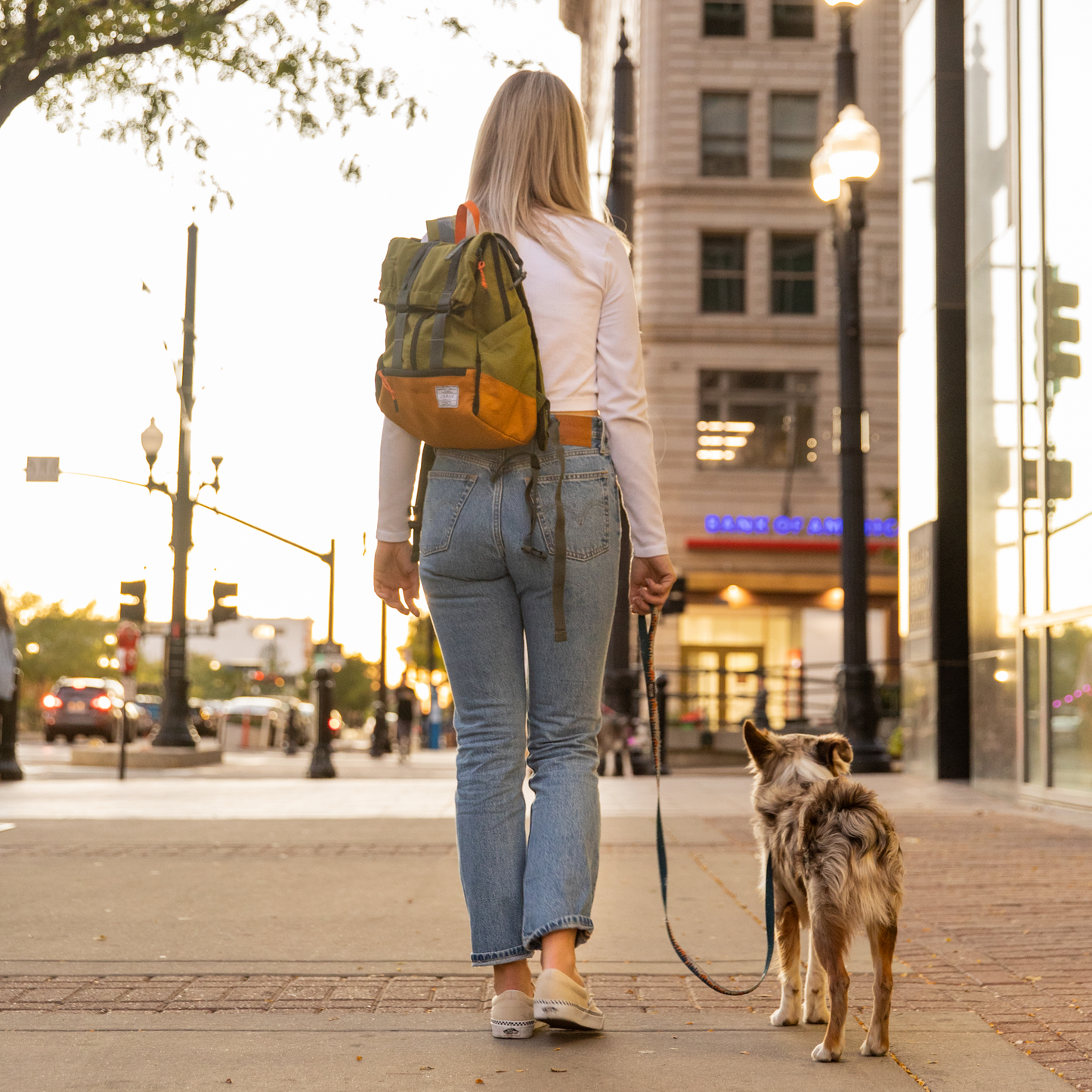 Person walking a dog on a leash in an urban setting with buildings and streetlights in the background.