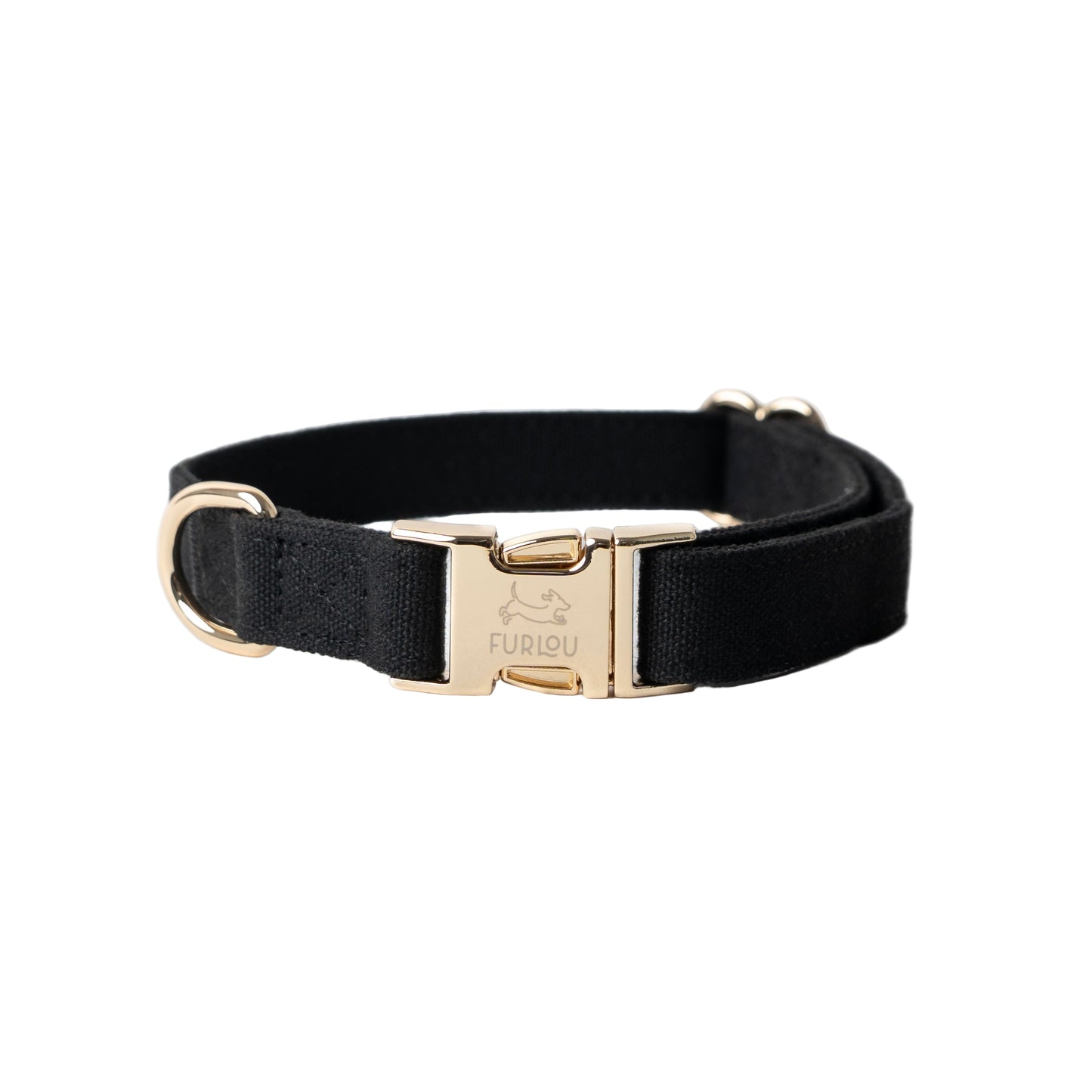 Black dog collar with gold buckle on a white background