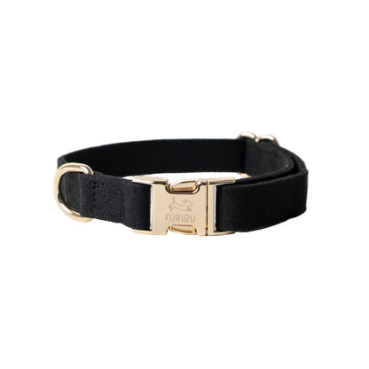 Black dog collar with gold buckle on a white background