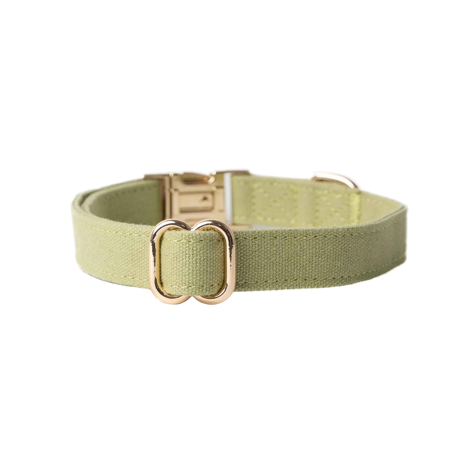 'Green' - Canvas Dog Collar