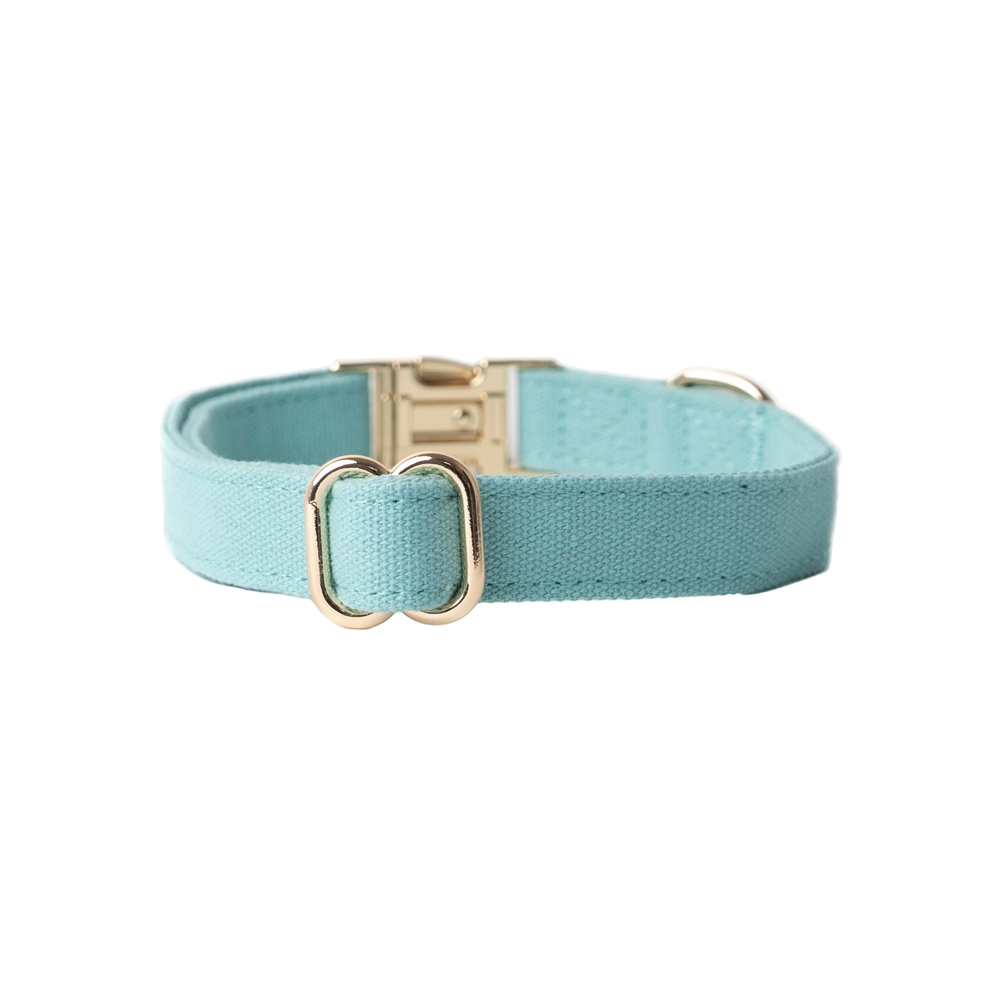 Teal dog collar with gold hardware on a white background