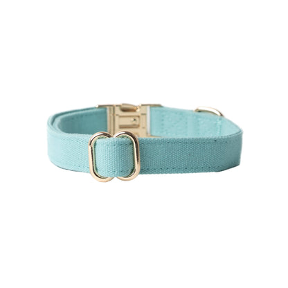 Teal dog collar with gold hardware on a white background
