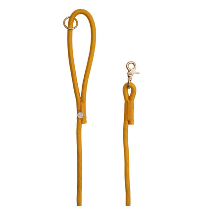 Yellow dog leash with clip on a white background