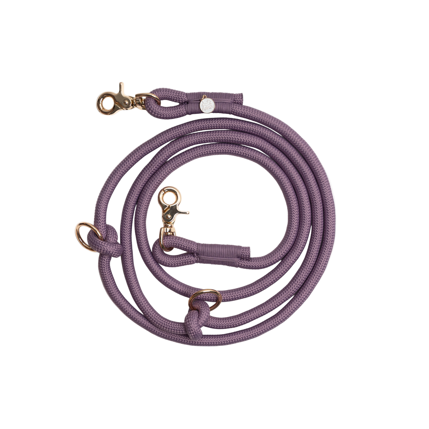 Purple dog leash with gold hardware on a light gray background