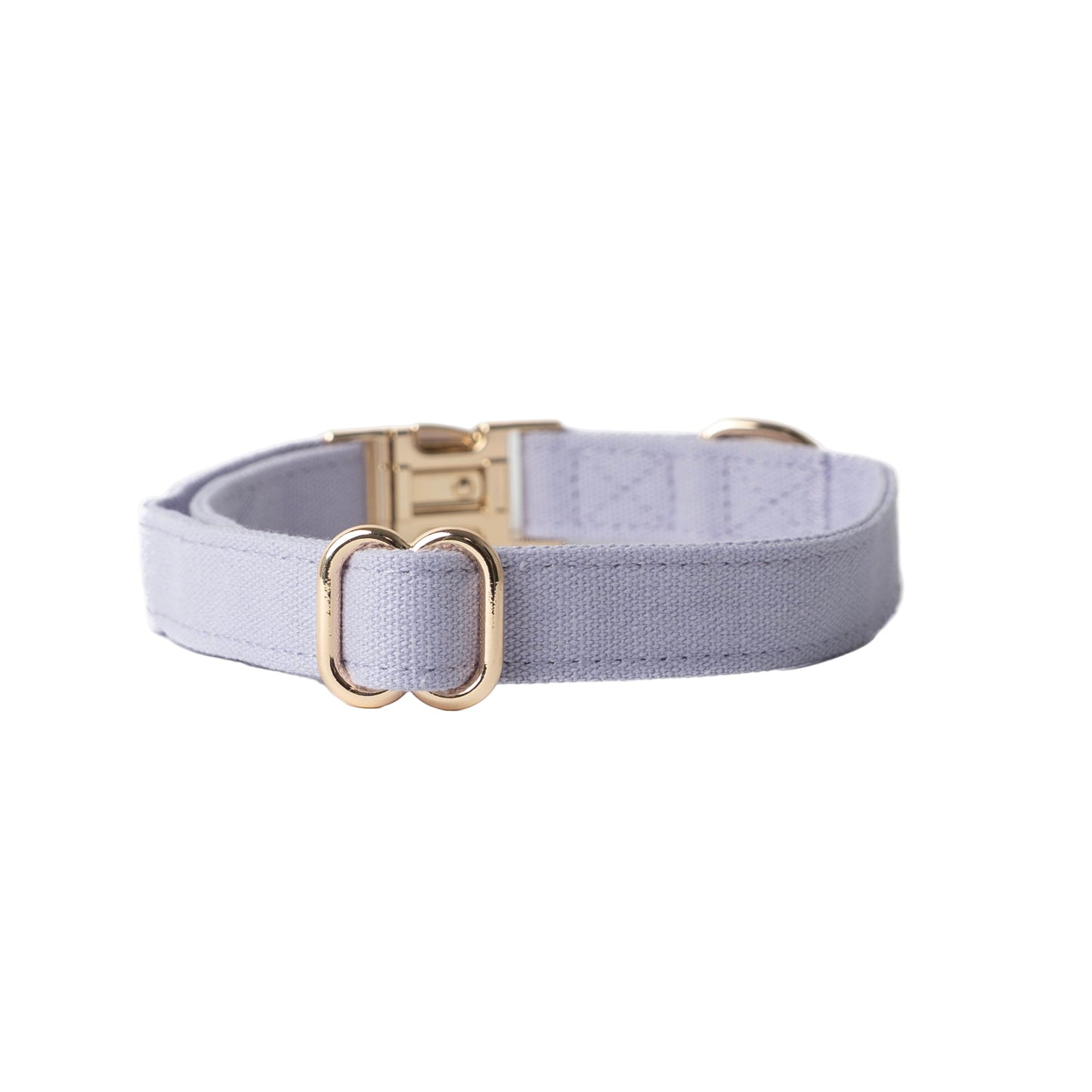 Light purple dog collar with gold hardware on a white background