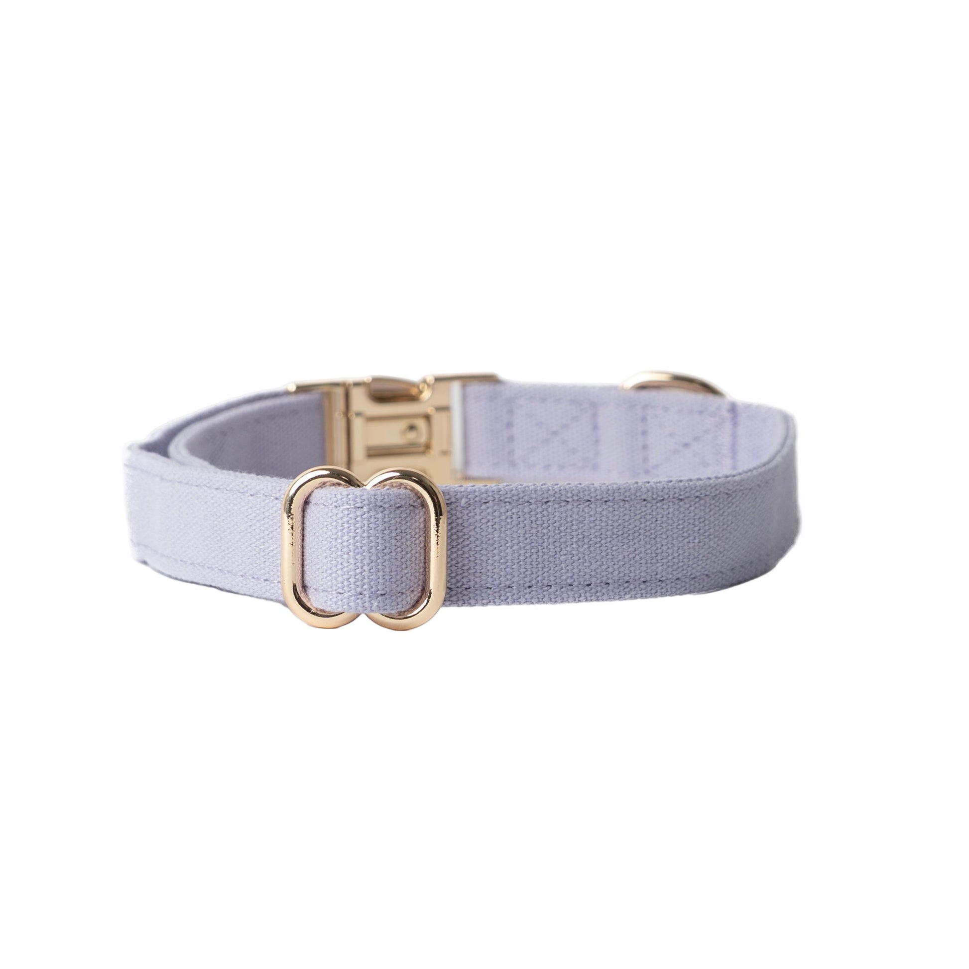 Light purple dog collar with gold hardware on a white background