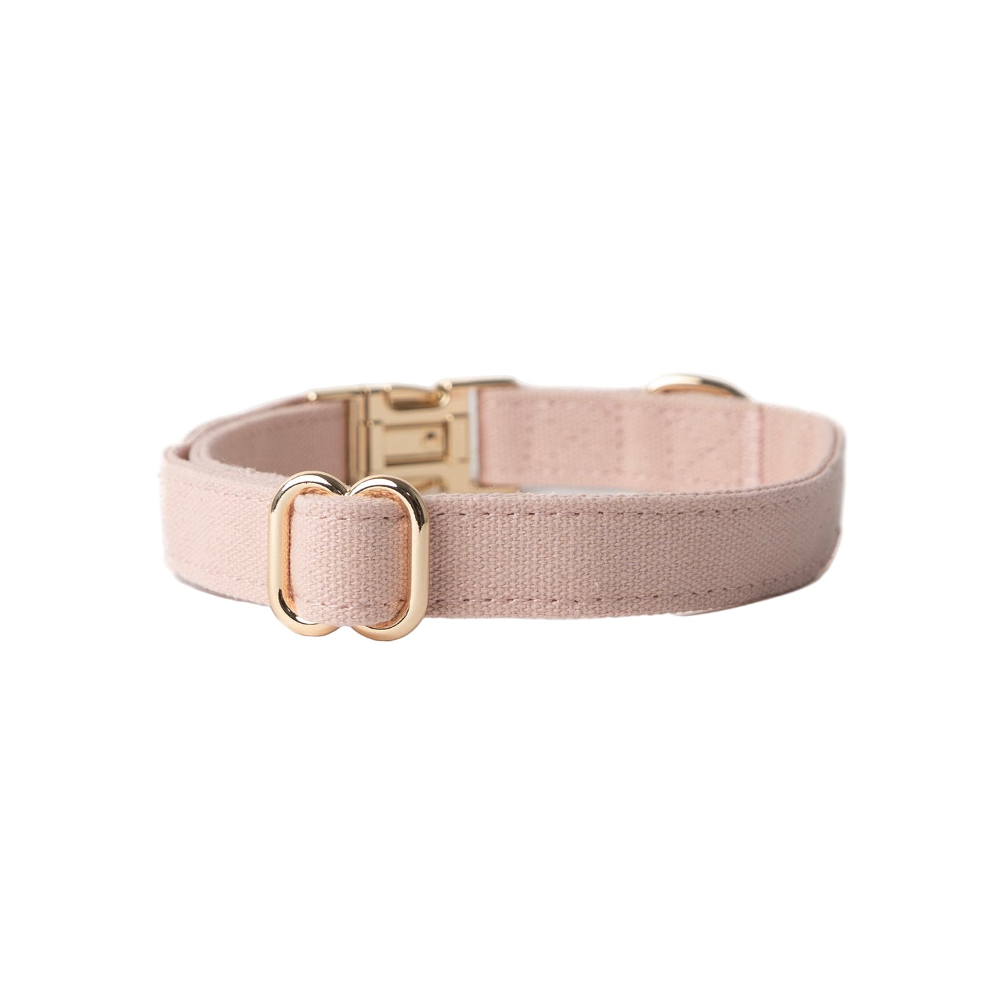 Nylon dog collar with gold hardware on a white background