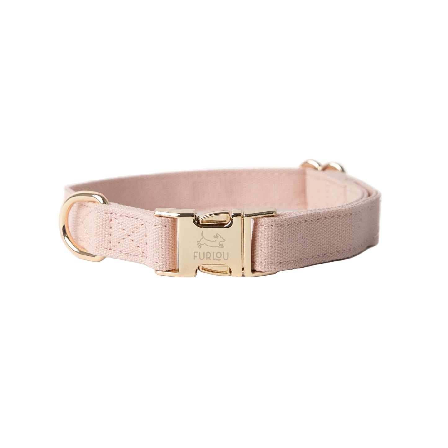 Pink dog collar with gold buckle on a white background