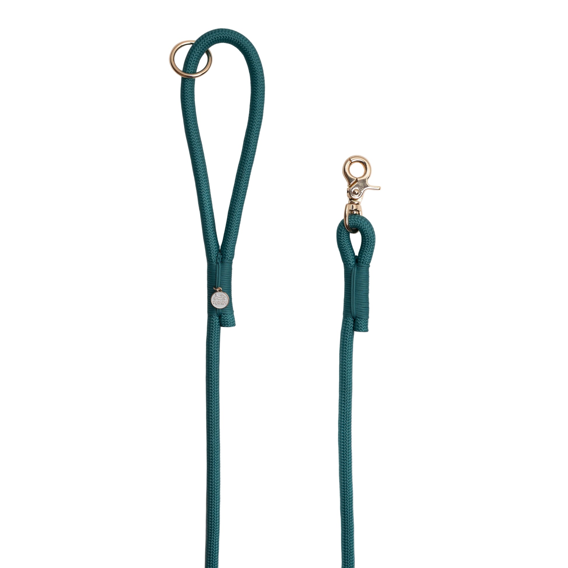 Teal dog leash with gold clasp on a white background