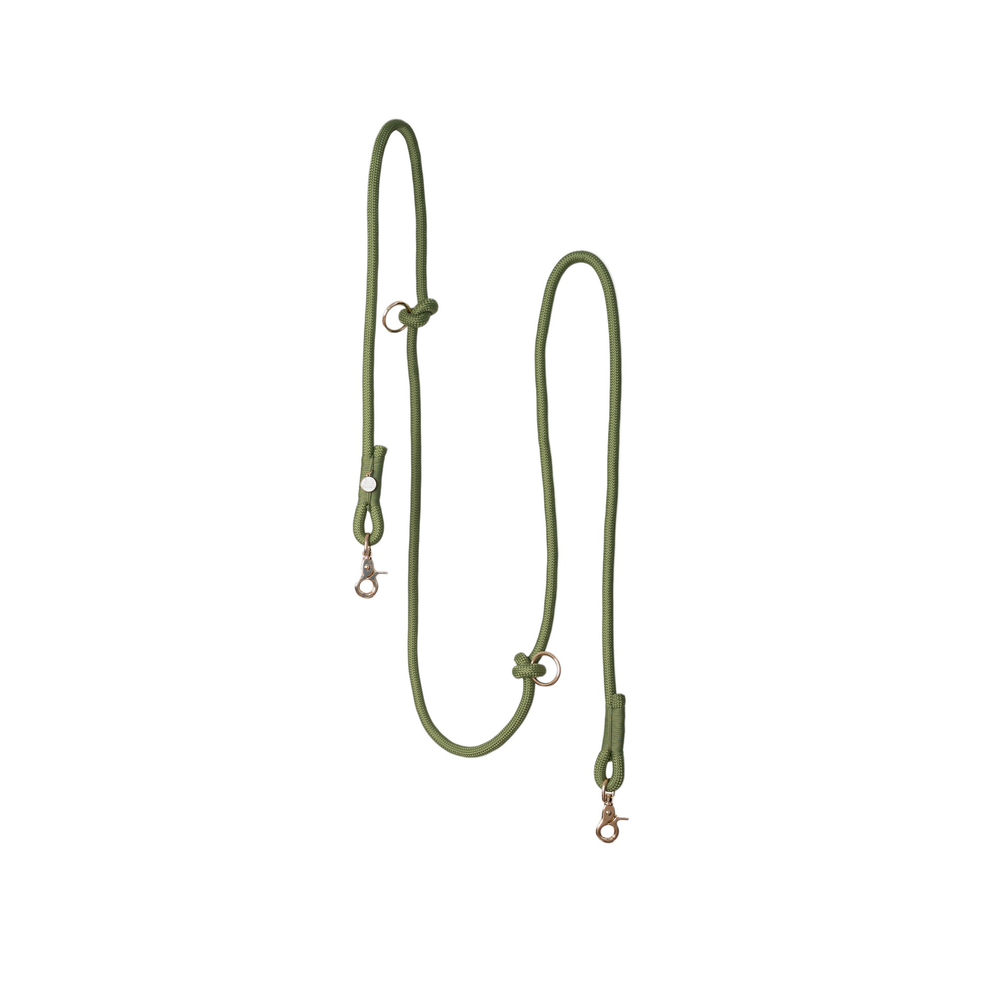 Green dog leash on a light gray background