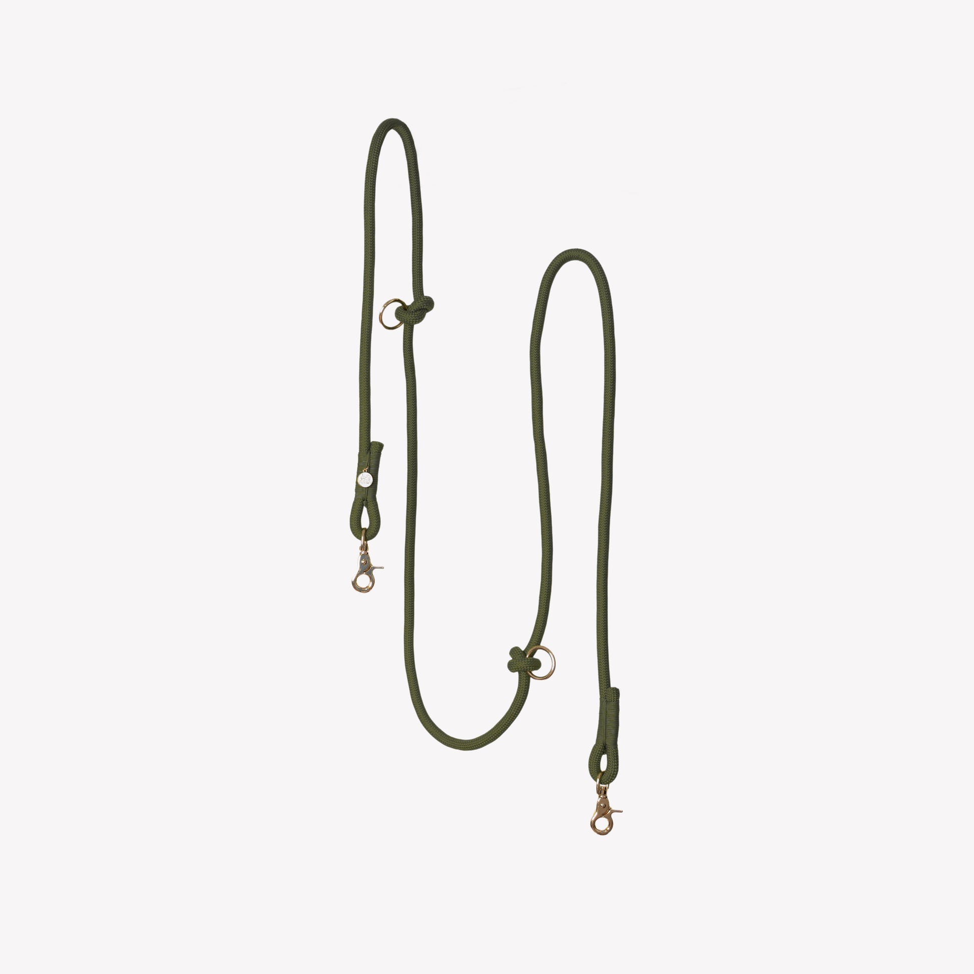Green dog leash on a light gray background