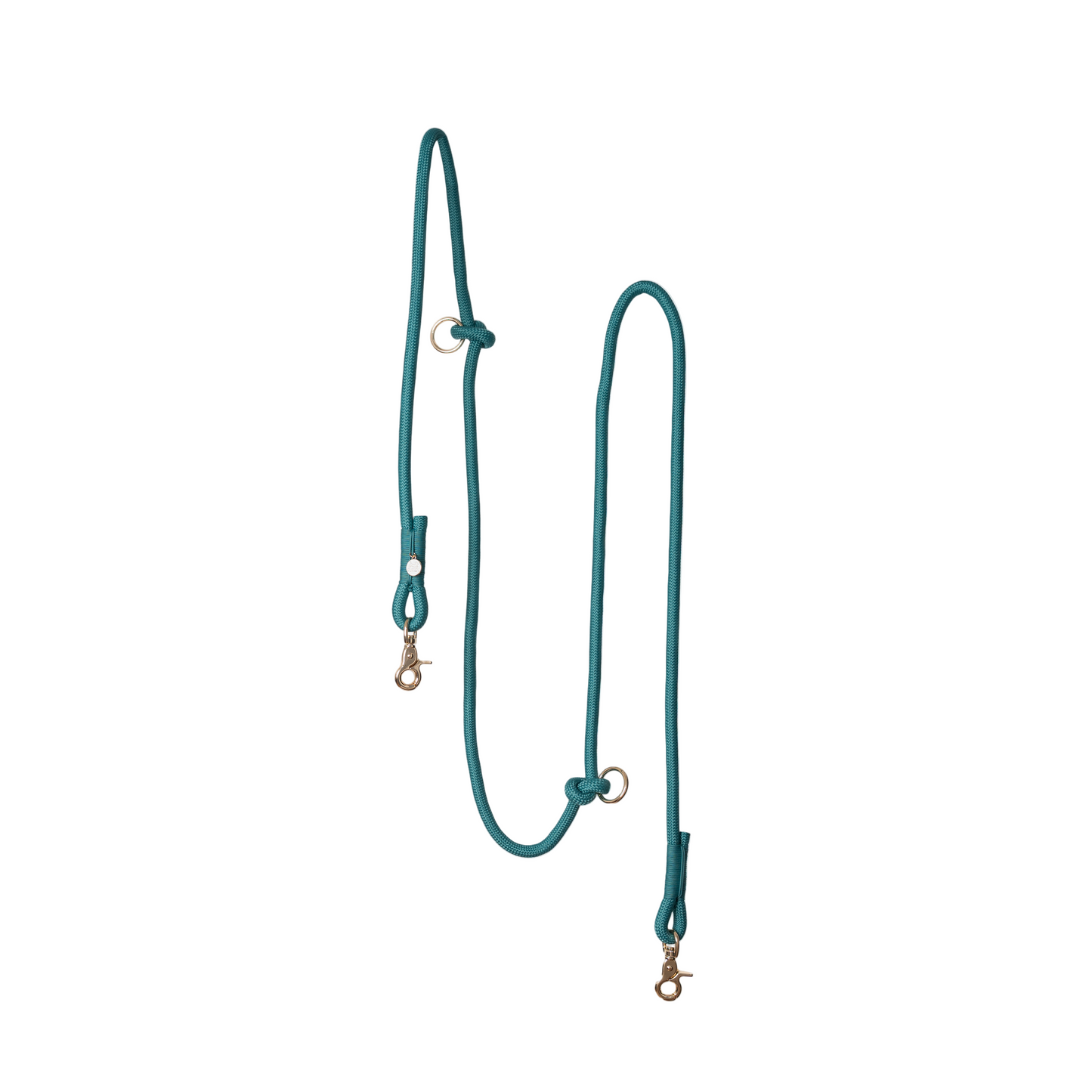 Teal dog leash with brass hardware on a light gray background