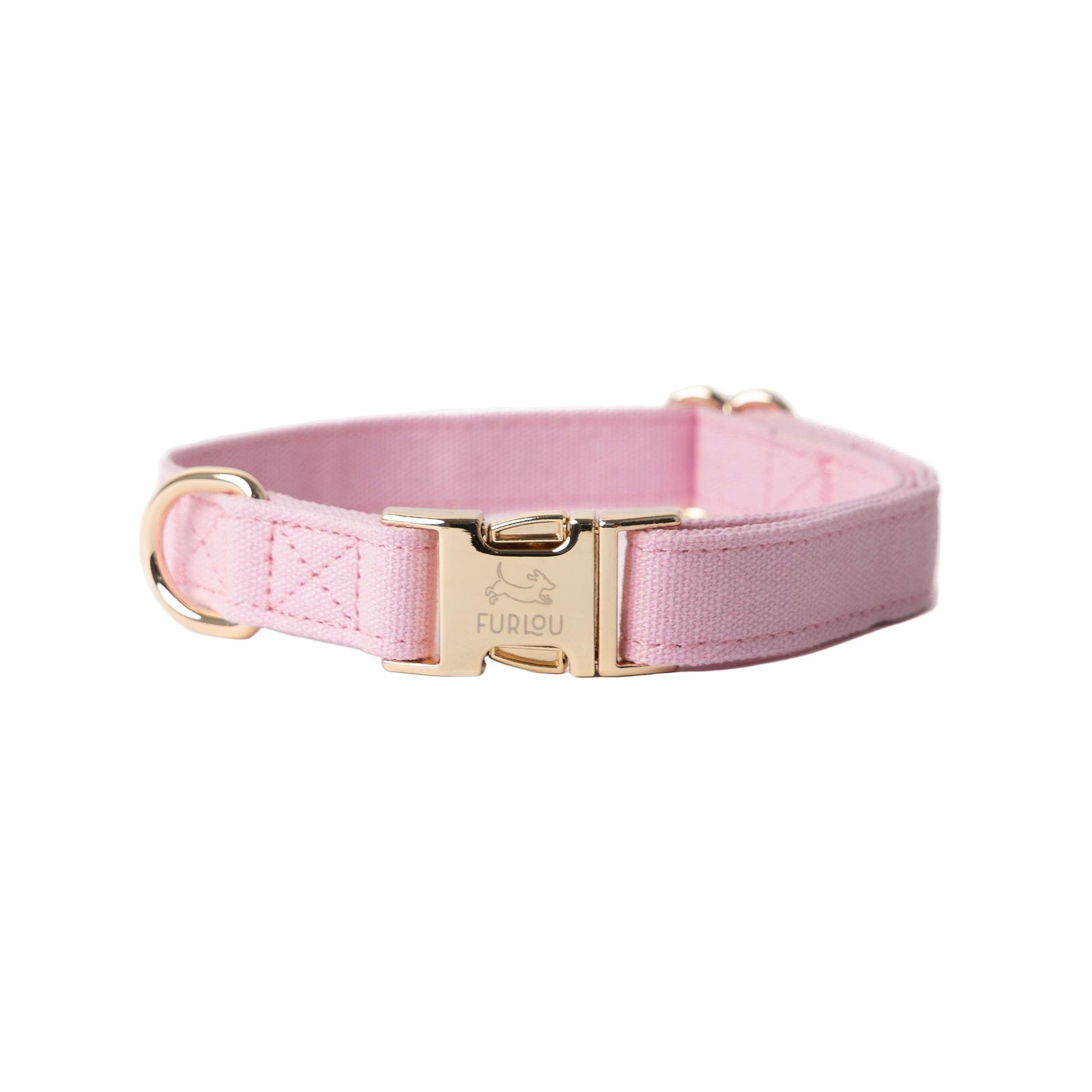 Pink dog collar with gold buckle on a white background
