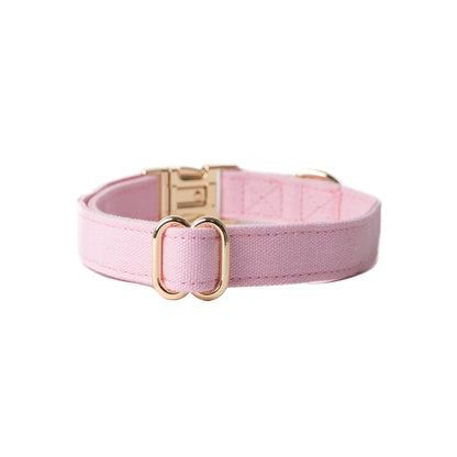 Pink dog collar with gold hardware on a white background